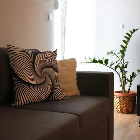 New Modern Olea Cozy Designed