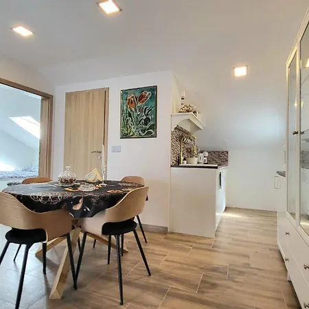 New Modern Olea Cozy Designed